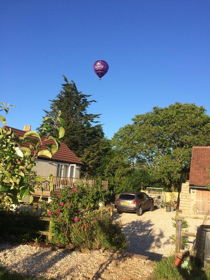 مبيت وإفطار Blagdon School Farm المظهر الخارجي الصورة